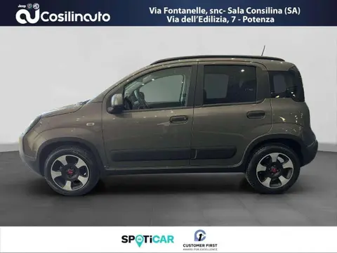 Annonce FIAT PANDA Hybride 2023 d'occasion 