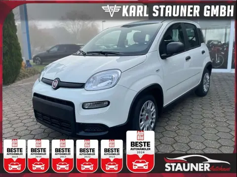 Used FIAT PANDA Hybrid 2024 Ad 