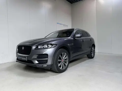 Used JAGUAR F-PACE Diesel 2018 Ad 