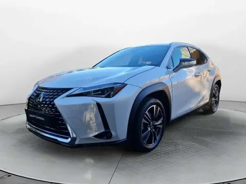 Used LEXUS UX Hybrid 2019 Ad 