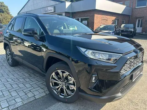 Annonce TOYOTA RAV4 Hybride 2024 d'occasion Allemagne