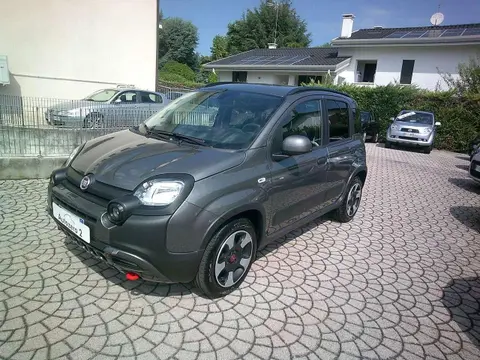 Used FIAT PANDA Hybrid 2023 Ad 