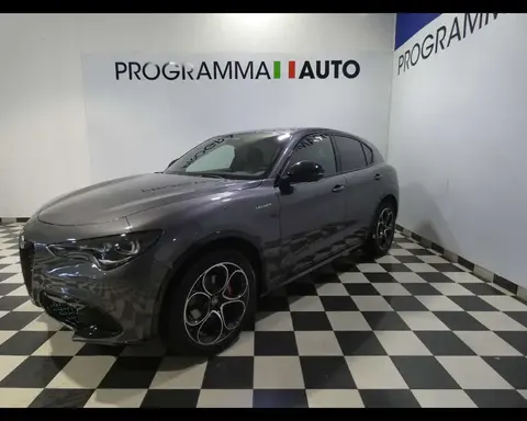 Annonce ALFA ROMEO STELVIO Diesel 2024 d'occasion 