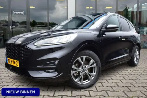 Used FORD KUGA Hybrid 2020 Ad 