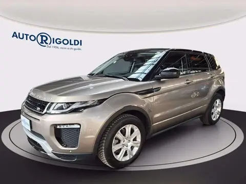 Annonce LAND ROVER RANGE ROVER EVOQUE Diesel 2016 d'occasion 