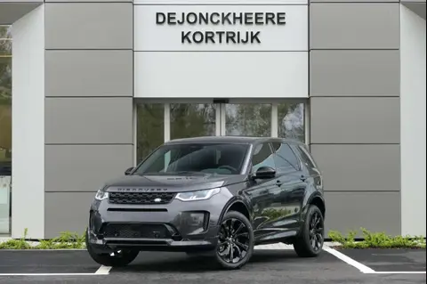 Used LAND ROVER DISCOVERY Hybrid 2024 Ad Belgium