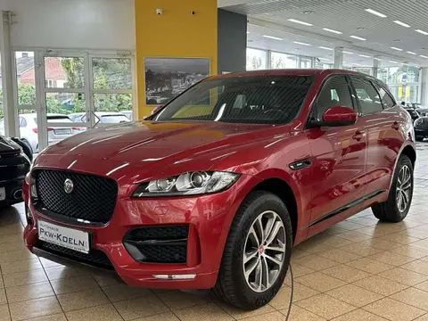 Annonce JAGUAR F-PACE Diesel 2017 d'occasion 