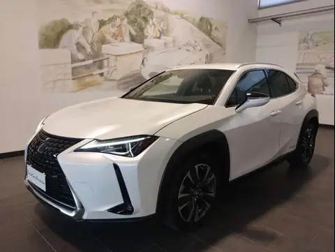 Used LEXUS UX Hybrid 2019 Ad 