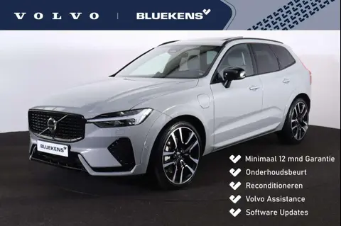 Used VOLVO XC60 Hybrid 2023 Ad 