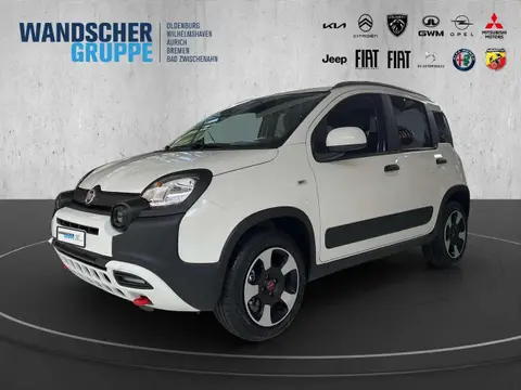 Annonce FIAT PANDA Essence 2024 d'occasion 