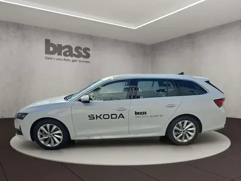 Annonce SKODA OCTAVIA Diesel 2024 d'occasion 