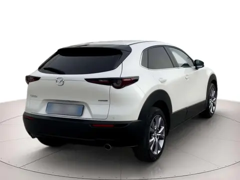 Annonce MAZDA CX-30 Hybride 2022 d'occasion 