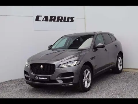 Used JAGUAR F-PACE Diesel 2016 Ad 