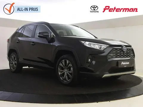 Used TOYOTA RAV4 Hybrid 2023 Ad 