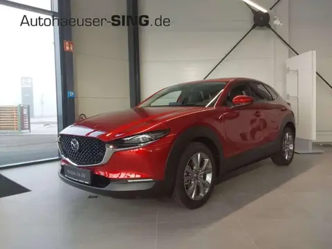 Annonce MAZDA CX-30 Essence 2023 d'occasion 