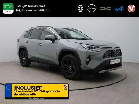 Used TOYOTA RAV4 Hybrid 2019 Ad 