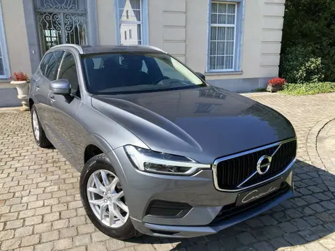 Annonce VOLVO XC60 Diesel 2019 d'occasion 