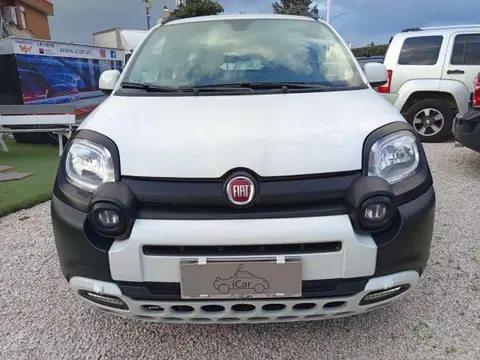 Annonce FIAT PANDA Hybride 2022 d'occasion 