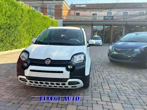 Annonce FIAT PANDA Hybride 2024 d'occasion 