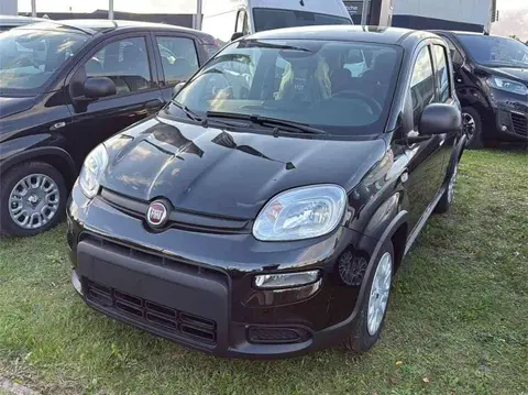 Annonce FIAT PANDA Essence 2024 d'occasion 