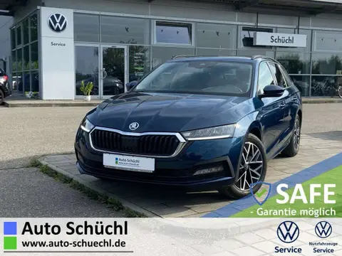 Used SKODA OCTAVIA Petrol 2021 Ad 