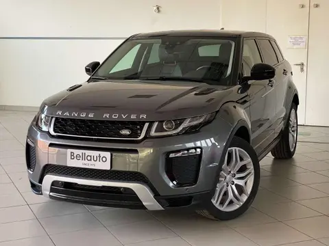 Used LAND ROVER RANGE ROVER EVOQUE Diesel 2019 Ad 