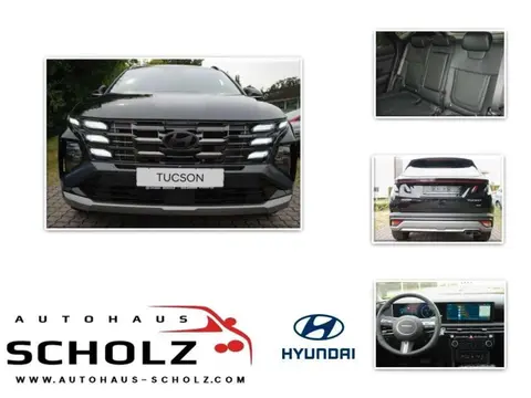 Annonce HYUNDAI TUCSON Diesel 2024 d'occasion 