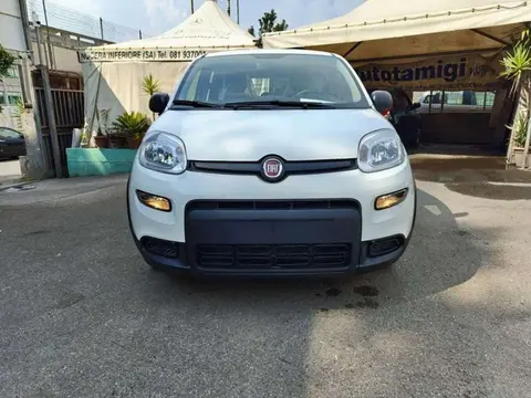 Used FIAT PANDA Hybrid 2024 Ad 