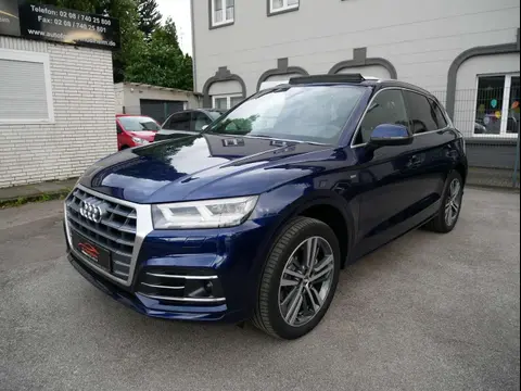 Used AUDI Q5 Diesel 2019 Ad 