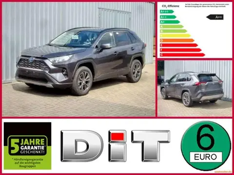 Used TOYOTA RAV4 Hybrid 2024 Ad Germany