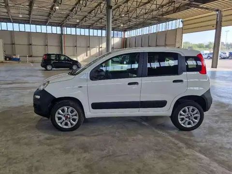 Annonce FIAT PANDA Essence 2020 d'occasion 