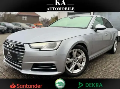 Used AUDI A4 Diesel 2017 Ad Germany