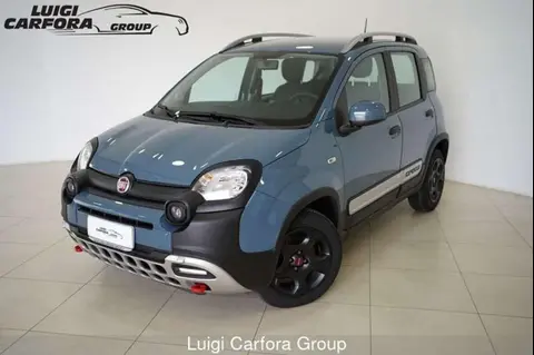 Annonce FIAT PANDA Hybride 2022 d'occasion 