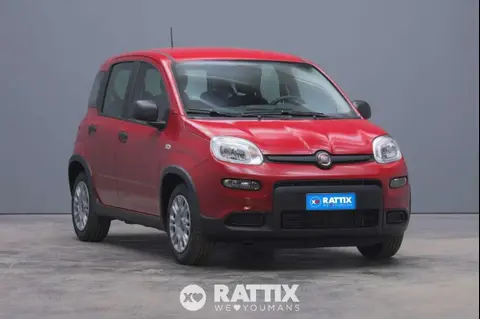 Used FIAT PANDA Hybrid 2024 Ad 