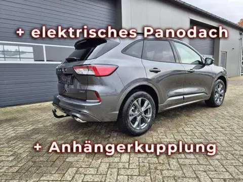 Used FORD KUGA Hybrid 2024 Ad 