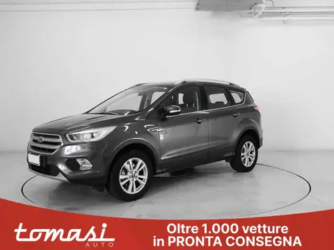 Used FORD KUGA Petrol 2019 Ad 