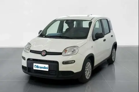 Annonce FIAT PANDA Hybride 2024 d'occasion 