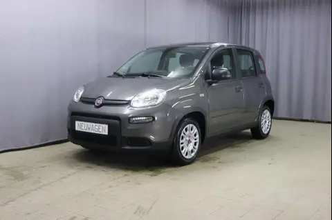 Used FIAT PANDA Petrol 2024 Ad 