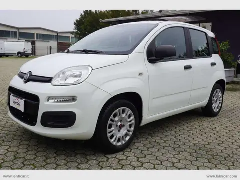 Used FIAT PANDA Petrol 2019 Ad 