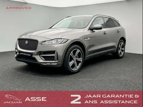 Used JAGUAR F-PACE Diesel 2020 Ad 