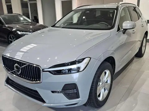 Used VOLVO XC60 Hybrid 2024 Ad 