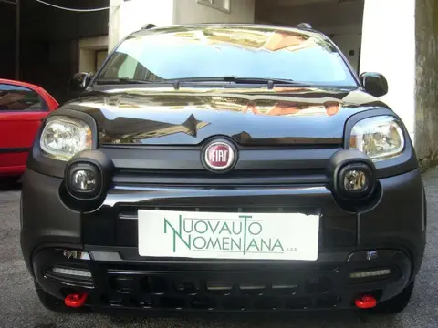 Annonce FIAT PANDA Hybride 2024 d'occasion 