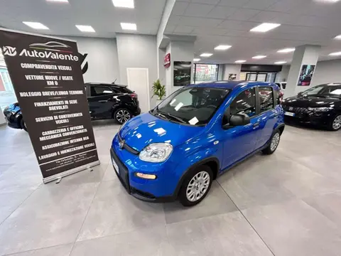 Used FIAT PANDA Hybrid 2024 Ad 