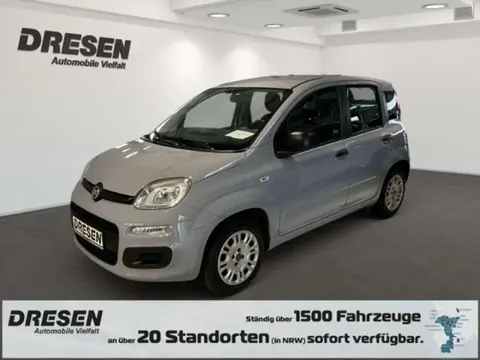 Annonce FIAT PANDA Essence 2020 d'occasion 