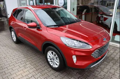 Used FORD KUGA Hybrid 2024 Ad 