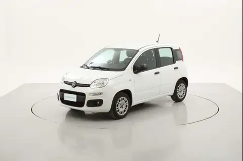 Used FIAT PANDA LPG 2020 Ad 