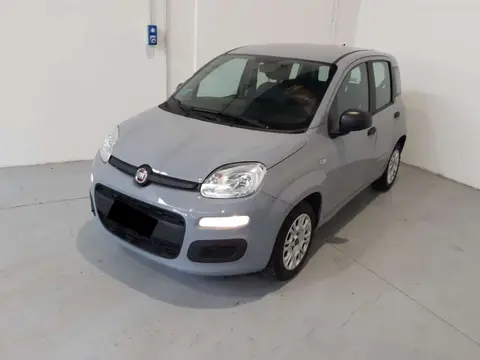 Used FIAT PANDA Hybrid 2021 Ad Italy