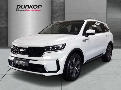 Annonce KIA SORENTO Hybride 2024 d'occasion 