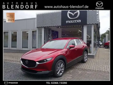 Annonce MAZDA CX-30 Essence 2024 d'occasion 