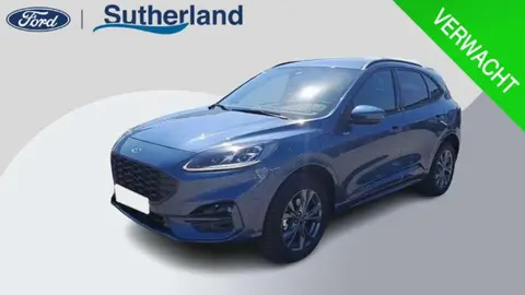 Used FORD KUGA Hybrid 2023 Ad 